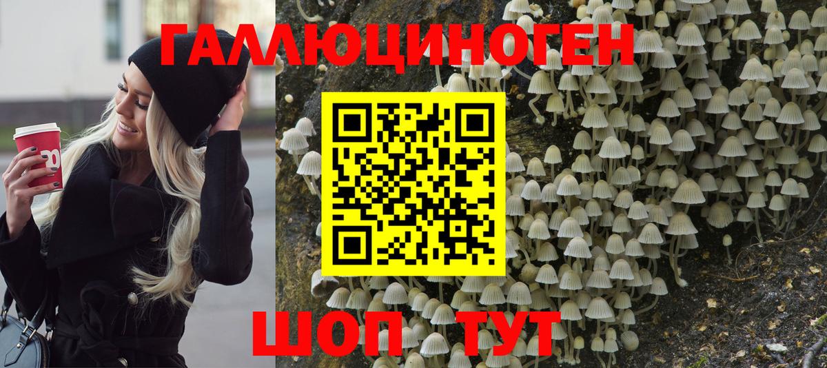 Галлюциногенные грибы Psilocybe  Вход с VPN  где можно купить   Владивосток  Галлюциногенные грибы MAGIC MUSHROOMS 